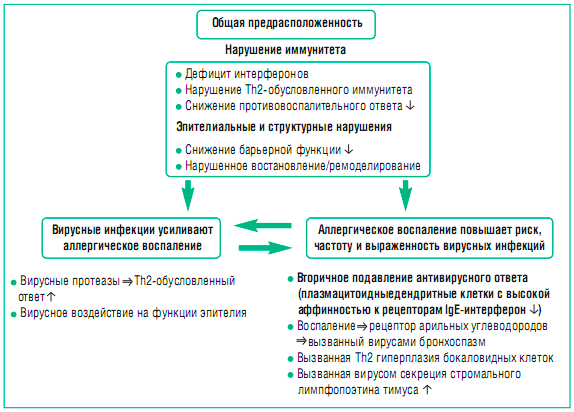 Как отличить бактериальную инфекцию от вирусной? рекомендации комаровского