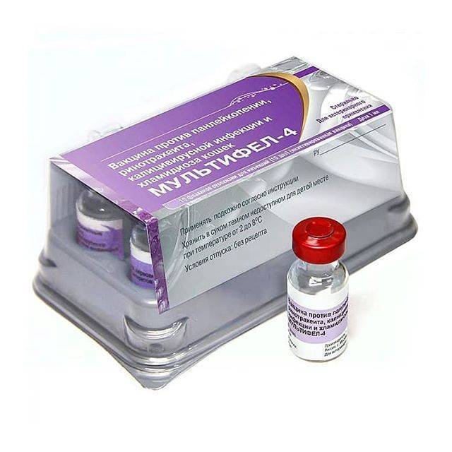 Прививка от гриппа во время беременности убережёт и новорожденного