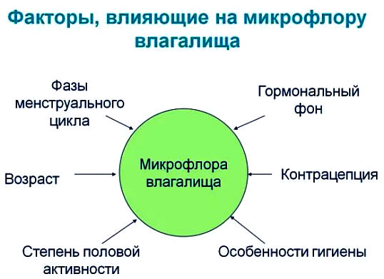 Дисбактериоз влагалища и дисбактериоз кишечника