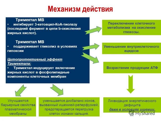 Тримектал мв (trimektal mr) инструкция по применению