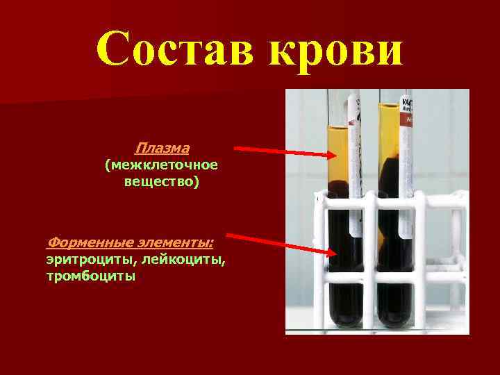 Плазма крови – что это такое, как проводят лечение плазмой?