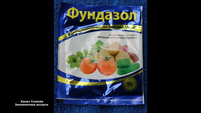 Фунгицид "фундазол", инструкция по применению