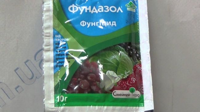 Фундазол