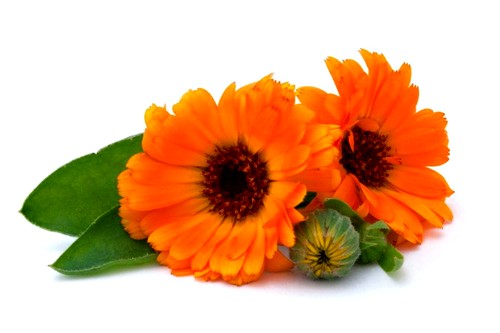 Опрелости и пролежни: как лечить на разных стадиях