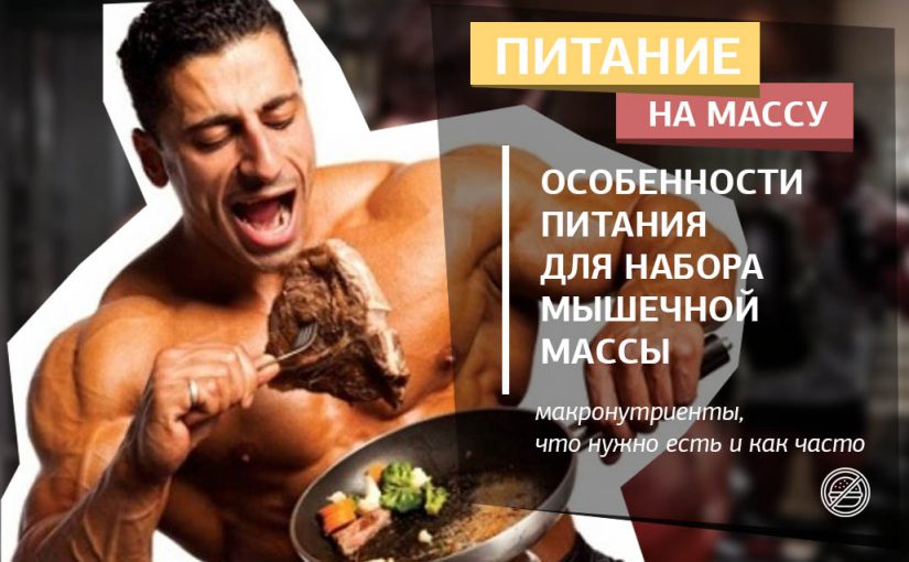 Спортивное питание для эндоморфа для похудения. питание эндоморфа — рацион, продукты и примерное меню