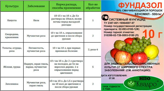 Фундазол аналоги. «фундазол»: аналоги, заменители. обзор препаратов, инструкция по применению, отзывы