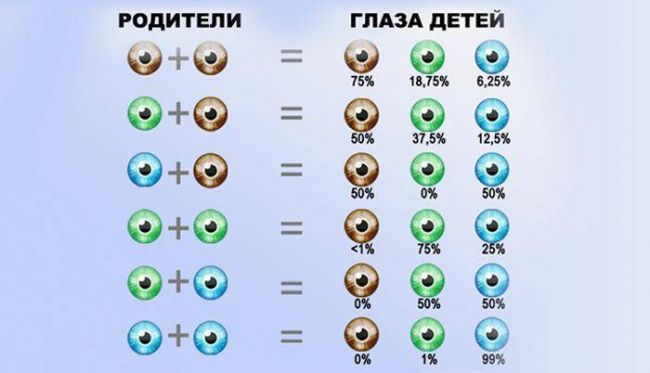 Как изменить цвет глаз народными средствами