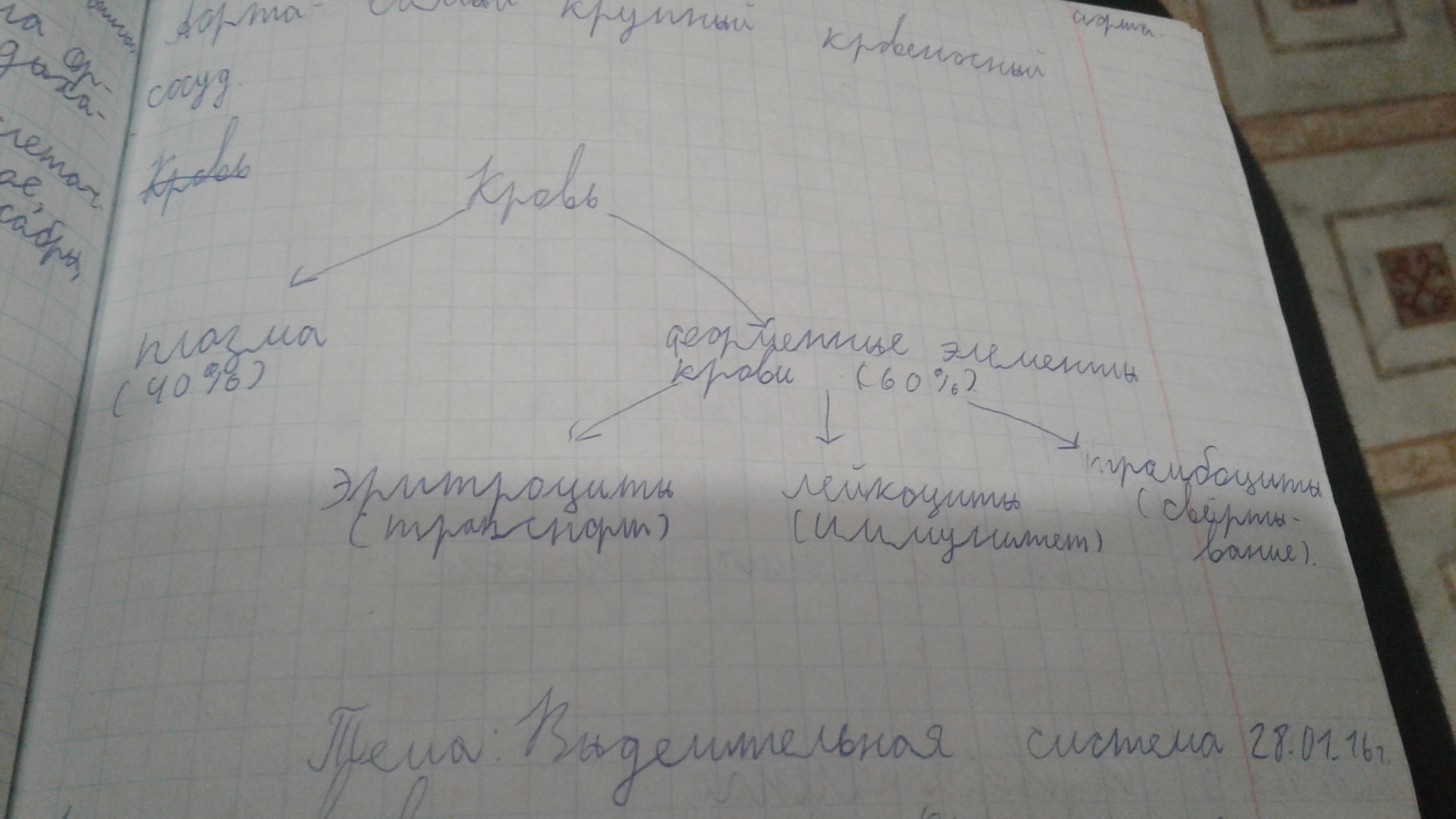 Форменные элементы крови