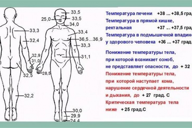 Разбираемся в причинах и последствиях: сколько держится температура при орви у ребёнка