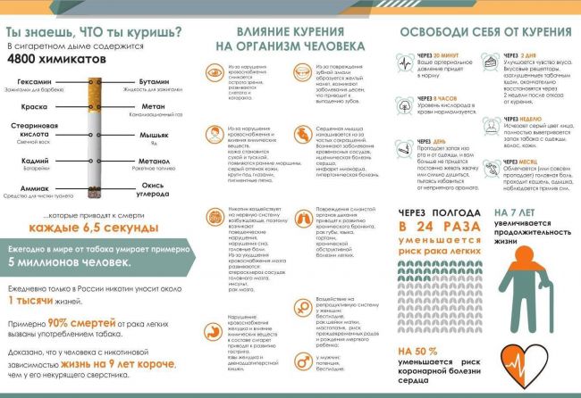 Можно ли курить при развитии бронхита: воздействие никотина и его последствия
