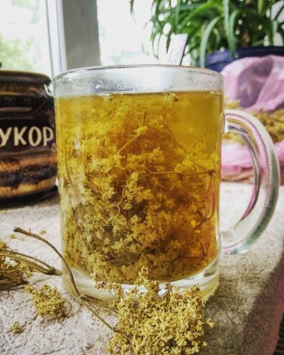 Домашние средства от кашля взрослым. эффективные народные рецепты