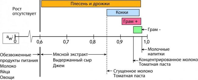 Вирусы и бактерии