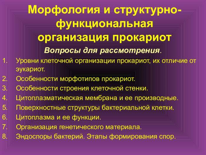 Внешняя бактериальная мембрана