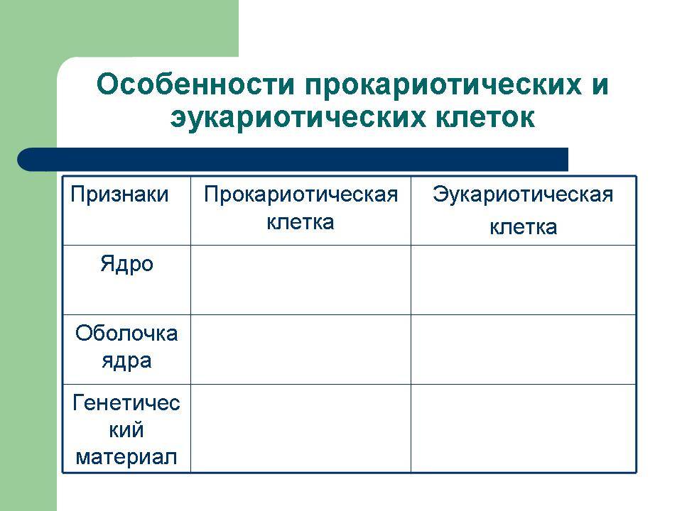 Как и чем питаются различные бактерии