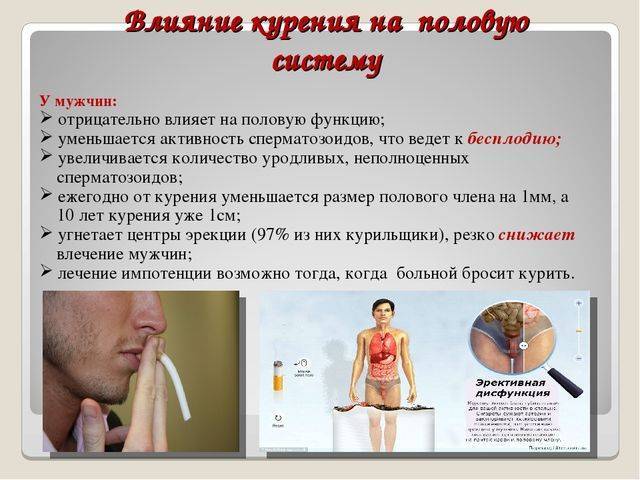 Влияние курения на развитие бронхитов
