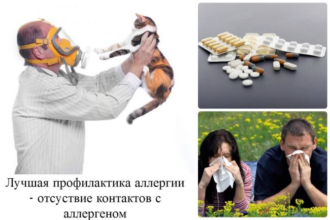 Как спастись от аллергии на сперму