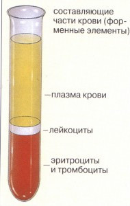 Форменные элементы крови