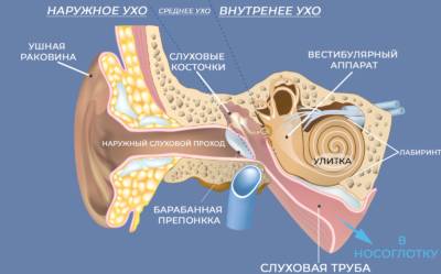 Заложенность и боль в ухе – причины и лечение