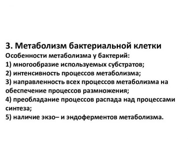 Когнитивная мощь бактерий, или как микробиота влияет на наш мозг
