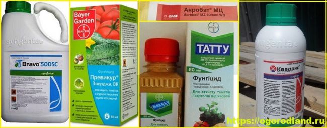Фундазол