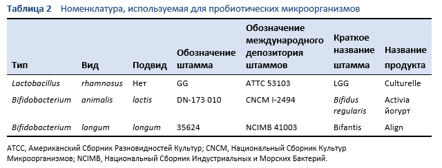 Бифидобактерии (bifidobacterium): характеристика, свойства, препараты