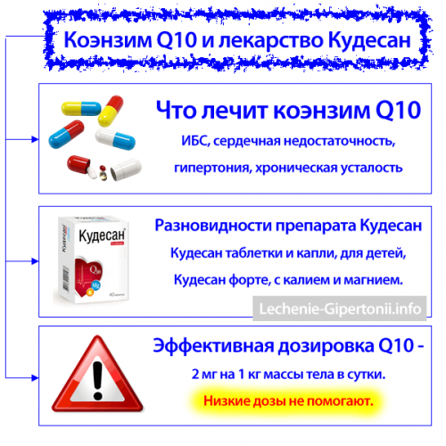 Кудесан q10