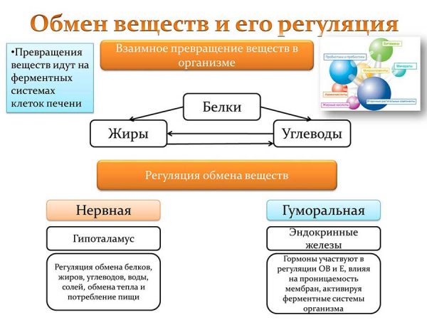 Водная диета