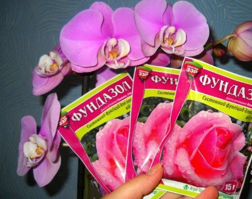 Фунгицид фундазол