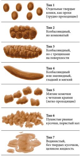 Запор. симптомы, причины, диета и лечение запора у детей и взрослых.