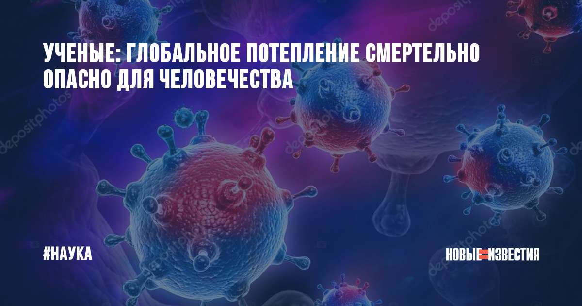 «субтильная» сенная бацилла – палочка bacillus subtilis