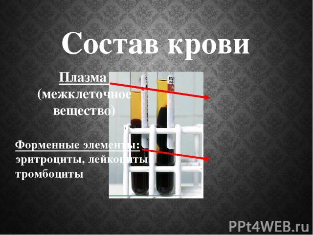 Жидкая часть крови человека - плазма