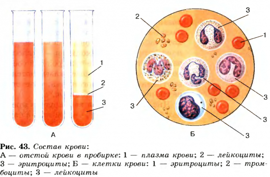 Мир психологии