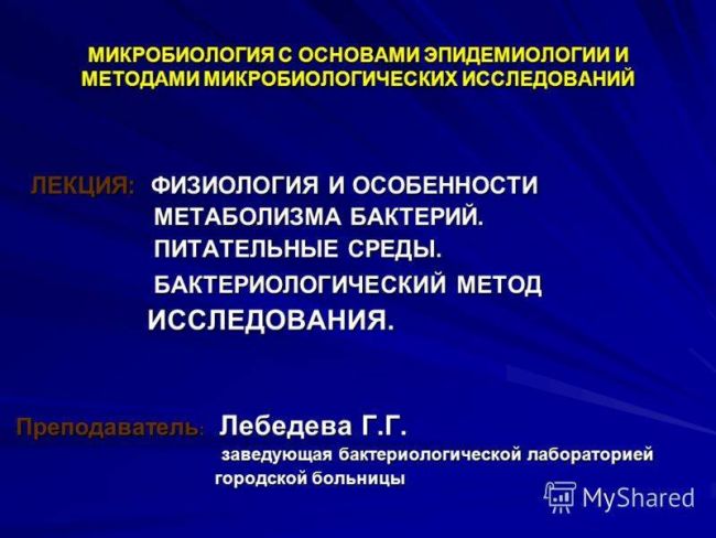 Как кишечные бактерии влияют на ваш метаболизм