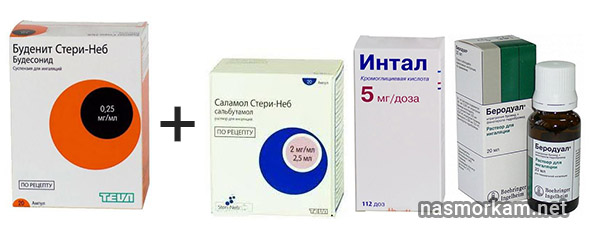 Буденит стери-неб - инструкция по применению