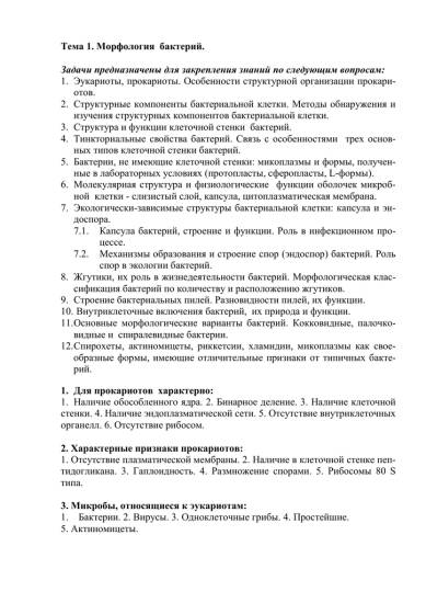 Как соотносится строение бактериальной клетки и ее функции