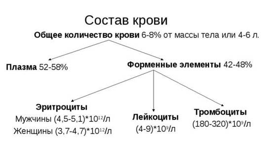 Состав крови [1981 георгиева с.а., беликина н.в., прокофьева л.и., коршунов г.в., киричук в.ф., головченко в.м., токаева л.к. - физиология человека]