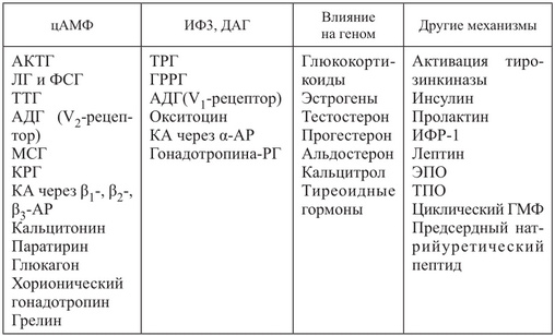 Гормон адреналин – что это такое, как можно корректировать его уровень в крови?