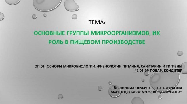 Исследовательская работа "вирусы и бактерии"