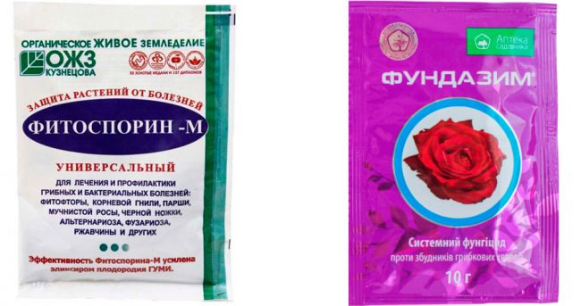 Фундазол