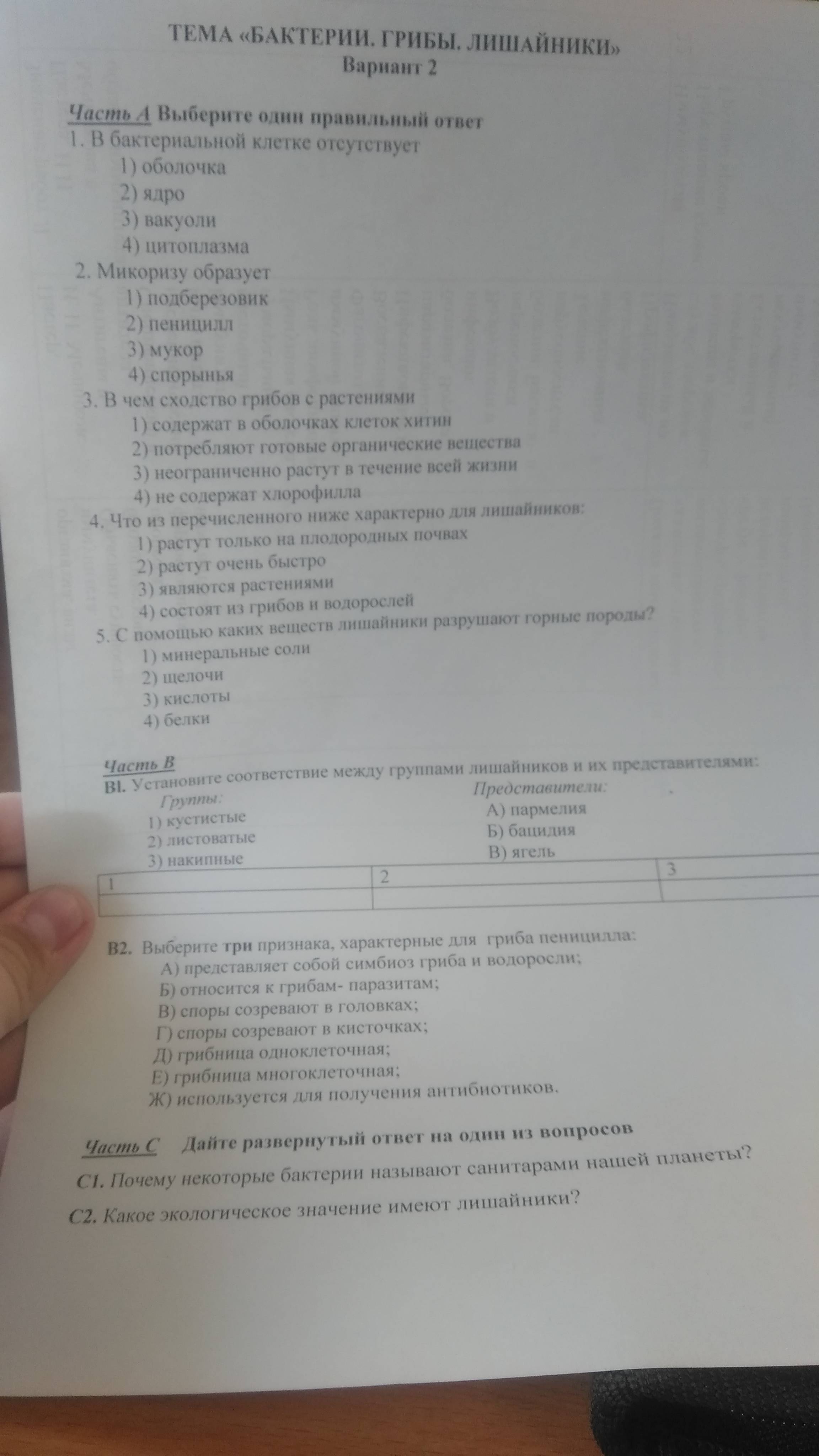 Особенности развития и питания бактерий-гетеротрофов