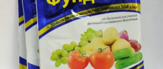 Фундазол (беназол фунгицид): инструкция по применению