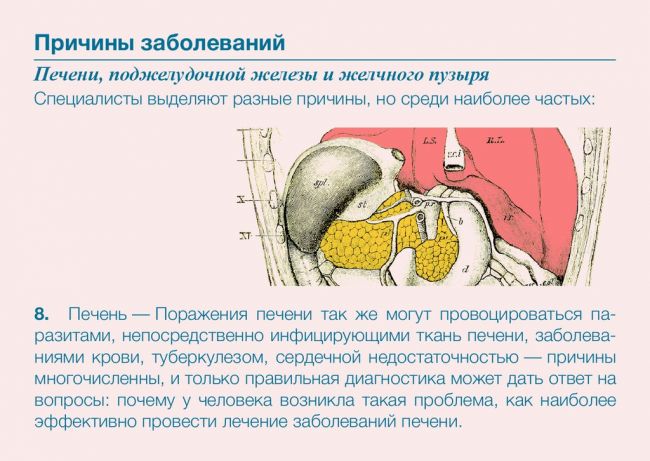 Болезни печени, желчного пузыря и поджелудочной железы