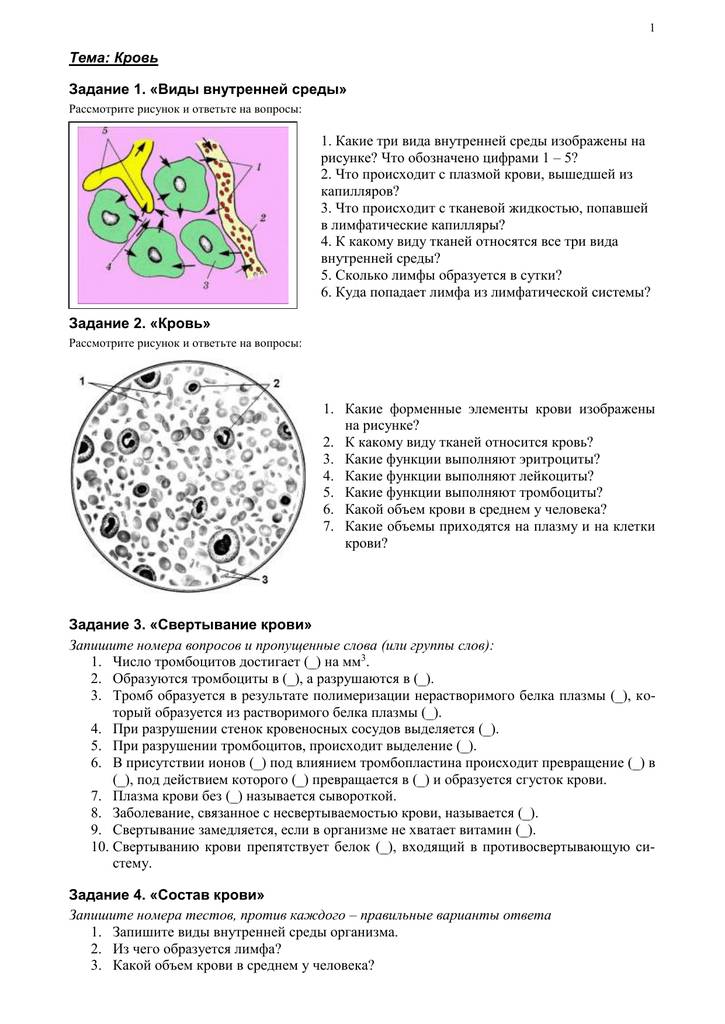 Плазма крови и форменные элементы крови. строение и функции эритроцитов, лейкоцитов, тромбоцитов