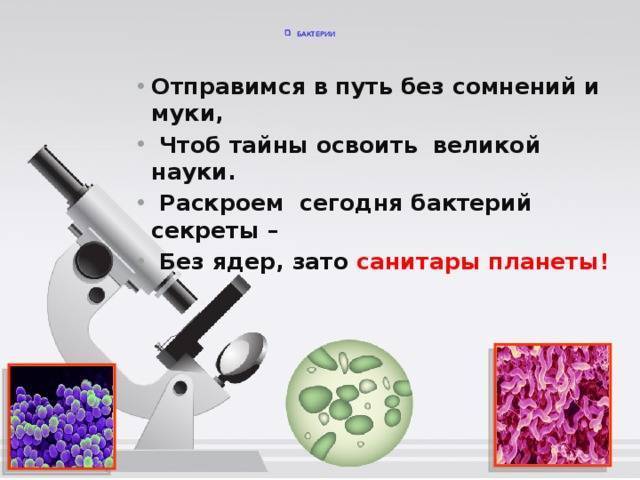 Какие бактерии являются санитарами нашей планеты?
