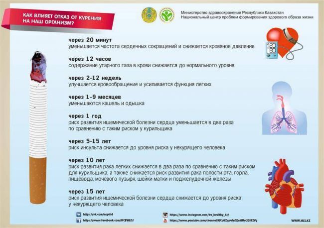 Может ли возникнуть бронхит из за курения