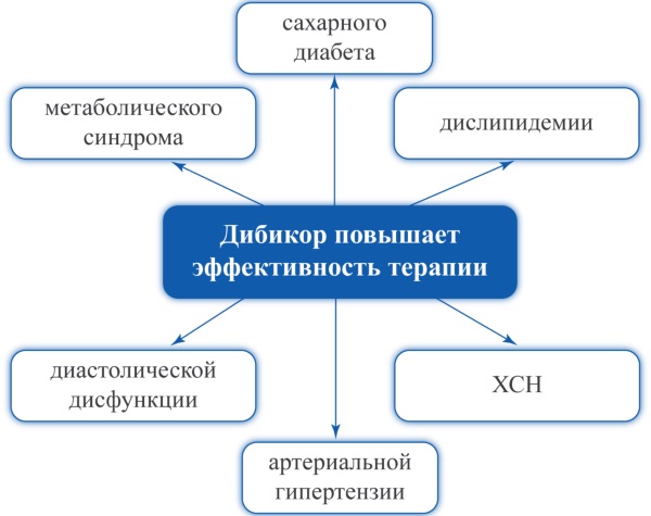 Дибикор