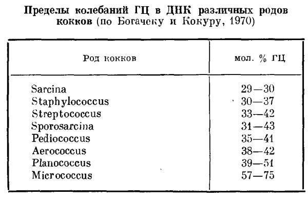 Одиночные округлые бактерии, или микрококки