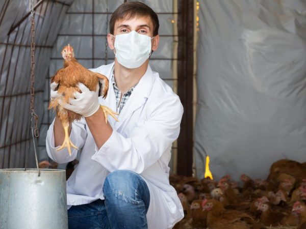 Желтый цвет кожи у взрослого человека. причины, почему, как избавиться