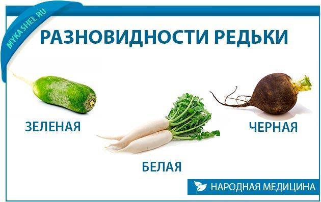 Бабушкины рецепты от кашля