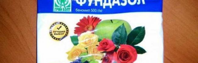 Инструкция по применению фундазола и перечень аналогов препарата
